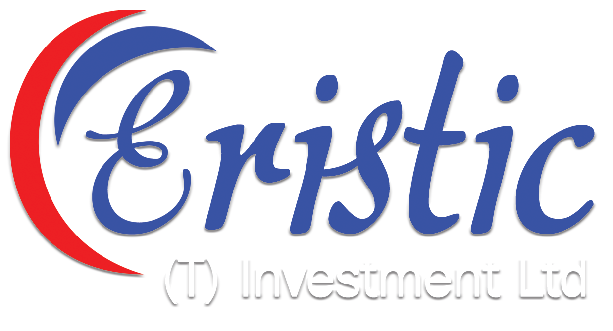 Eristic Logo